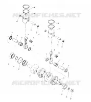 PISTON AND CRANKSHAFT (4909530953019A)