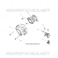 ENGINE, THROTTLE BODY AND FUEL RAIL