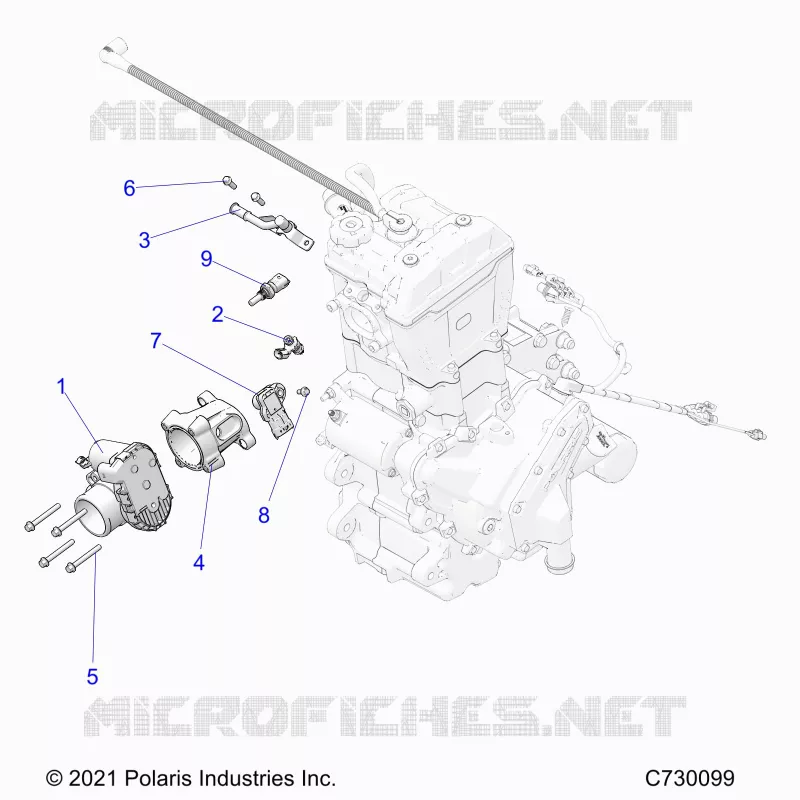 ENGINE, THROTTLE BODY AND FUEL RAIL