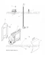 ELECTRICAL, IGNITION