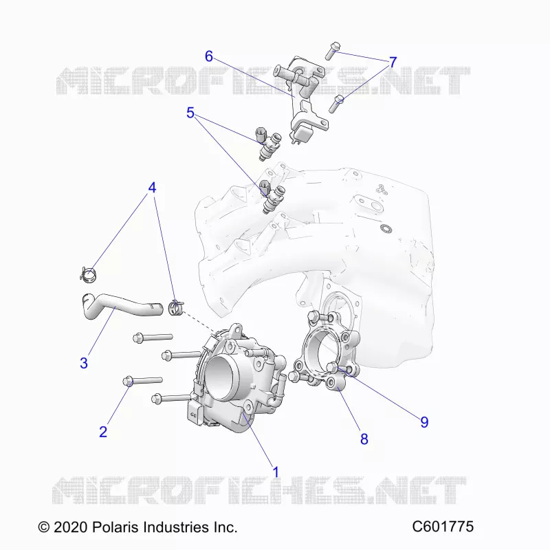 FUEL SYSTEM, THROTTLE BODY/FUEL RAIL