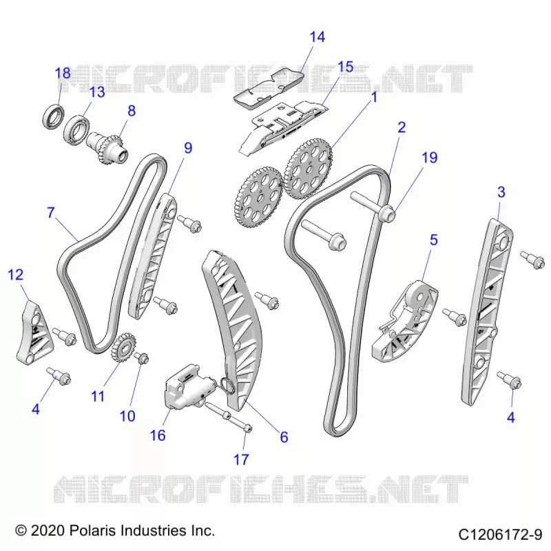 ENGINE, TIMING AND OIL CHAIN DRIVES
