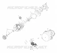WATER PUMP/OIL PUMP