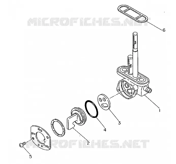 FUEL STRAINER 250 2X4