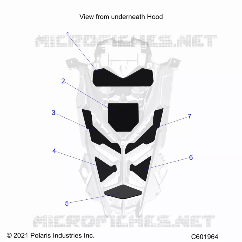 HOOD FOAM/SEAL