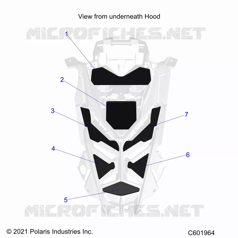 HOOD FOAM/SEAL