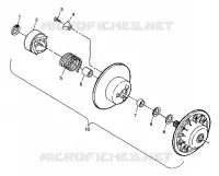DRIVEN CLUTCH