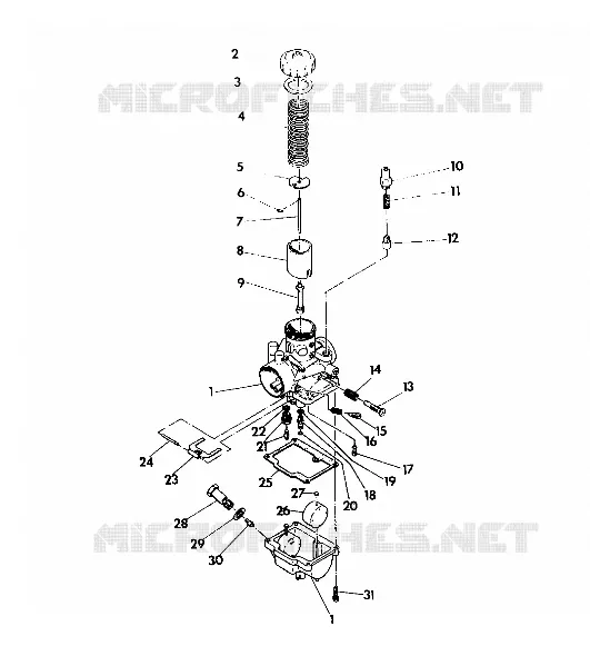 CARBURETOR STAR LITE (4921332133038A)