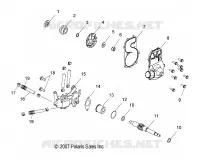 WATER PUMP/OIL PUMP