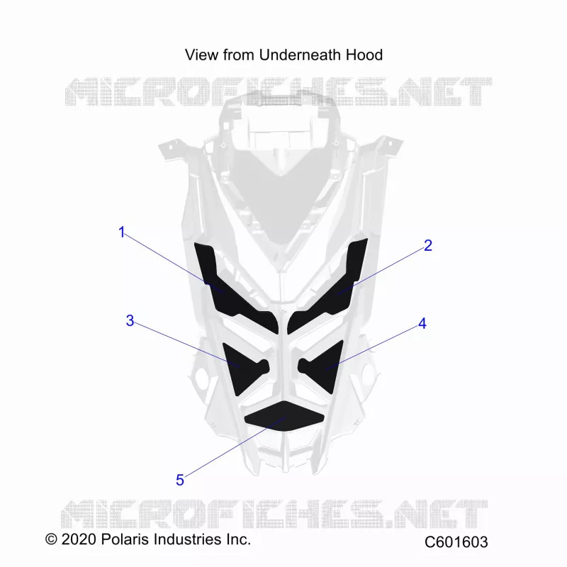 HOOD FOAM/SEAL