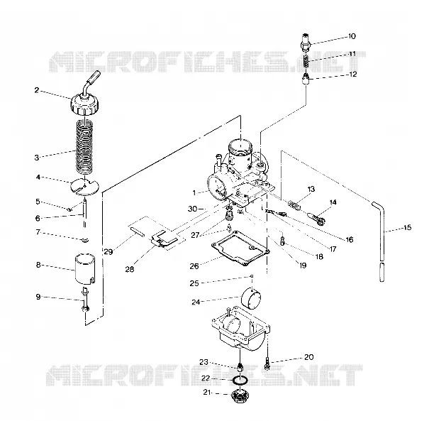CARBURETOR ASSEMBLY (4913491349034A)
