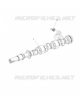 CAMSHAFT & PUSH ROD