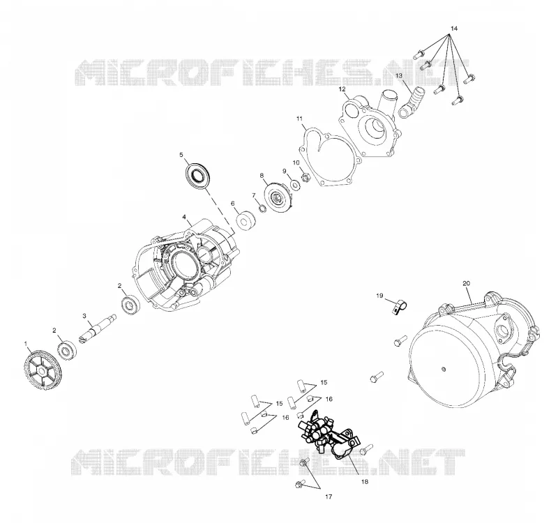 WATER PUMP / OIL PUMP