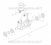 PISTON   CRANKSHAFT (800)