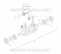 PISTON   CRANKSHAFT (800)