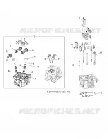 CYLINDER HEAD, CAMS AND VALVES
