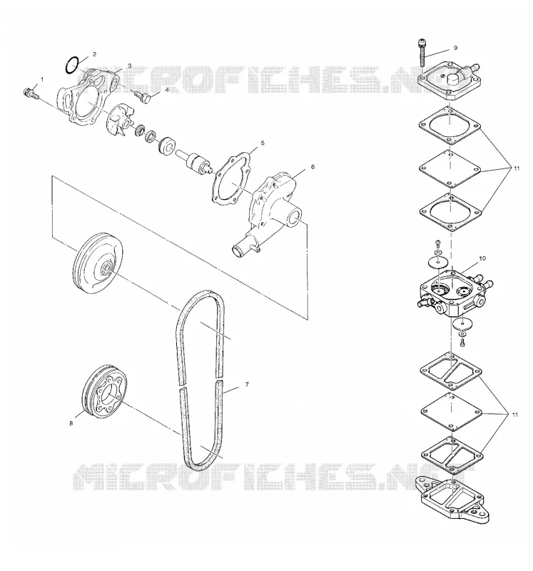 WATER PUMP/FUEL PUMP