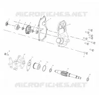 WATER PUMP / OIL PUMP