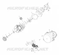 WATER PUMP / OIL PUMP