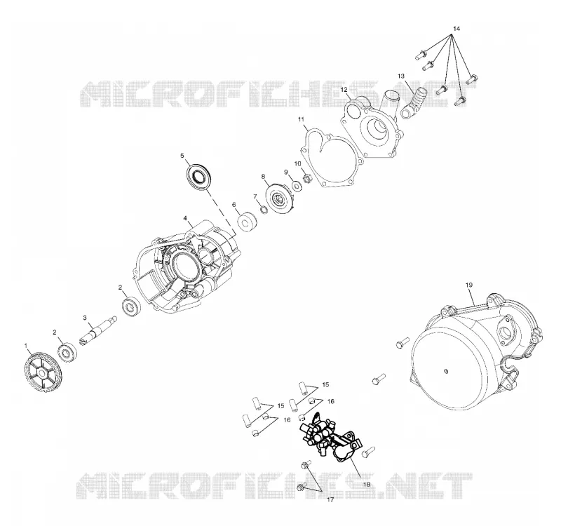WATER PUMP / OIL PUMP