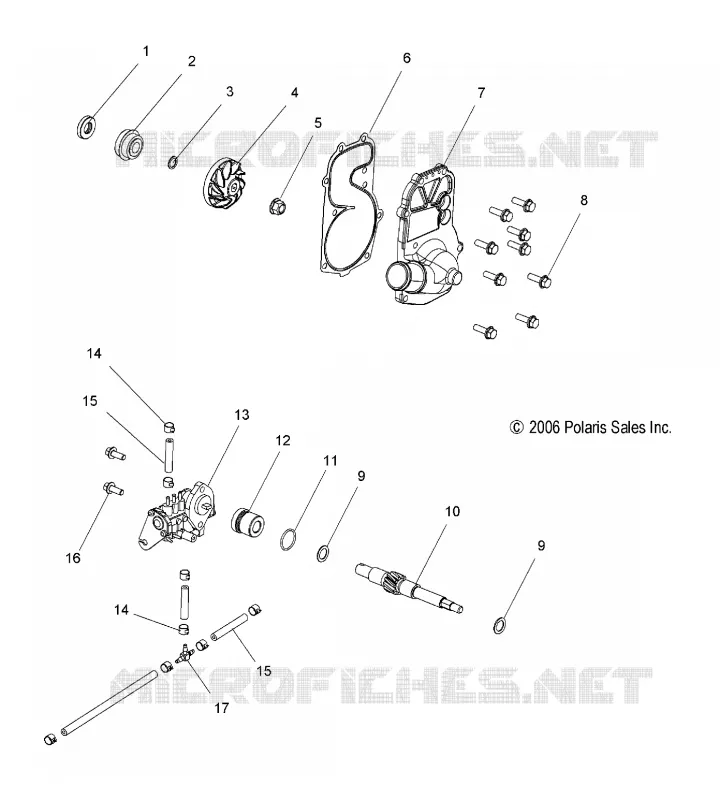 WATER PUMP AND OIL PUMP