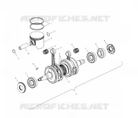 PISTON   CRANKSHAFT (600)