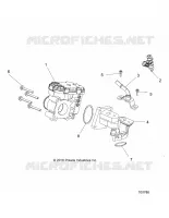 ENGINE, THROTTLE BODY AND FUEL RAIL