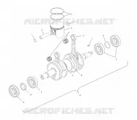 PISTON   CRANKSHAFT (800)