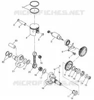 PISTON   CRANKSHAFT