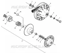 DRIVEN CLUTCH