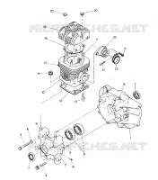 CRANKCASE AND CYLINDER  STAR LITE (4918591859023A)