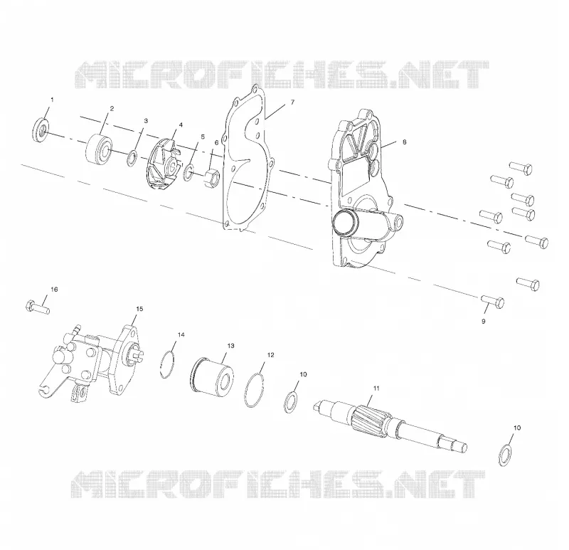 WATER PUMP/OIL PUMP