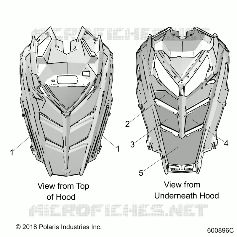 HOOD FOAM/SEAL