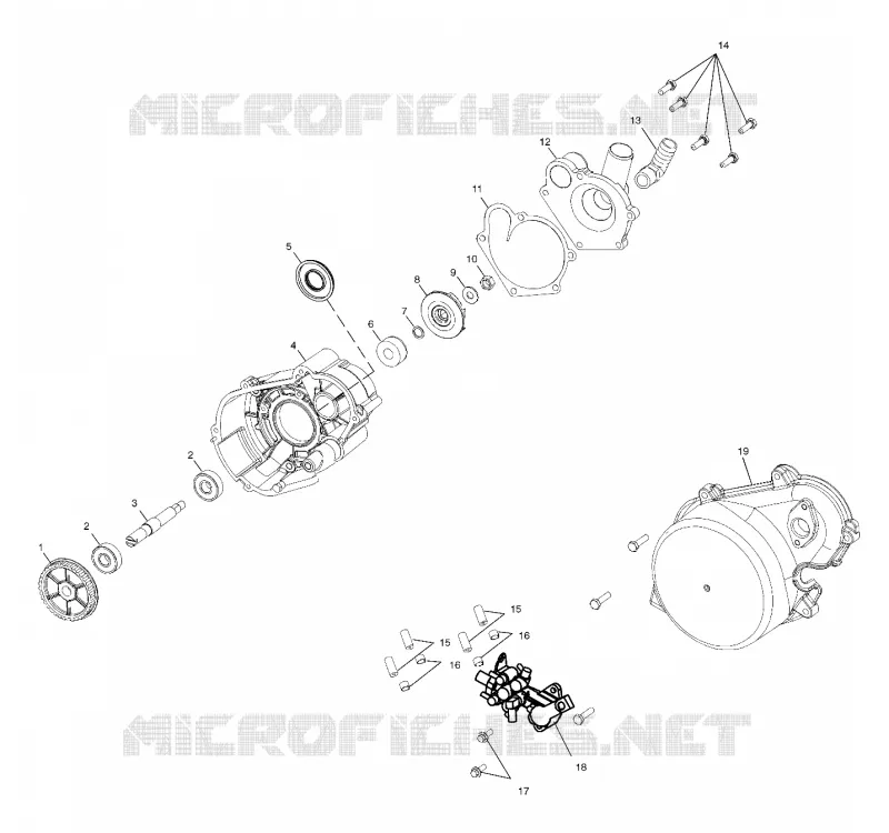 WATER PUMP / OIL PUMP