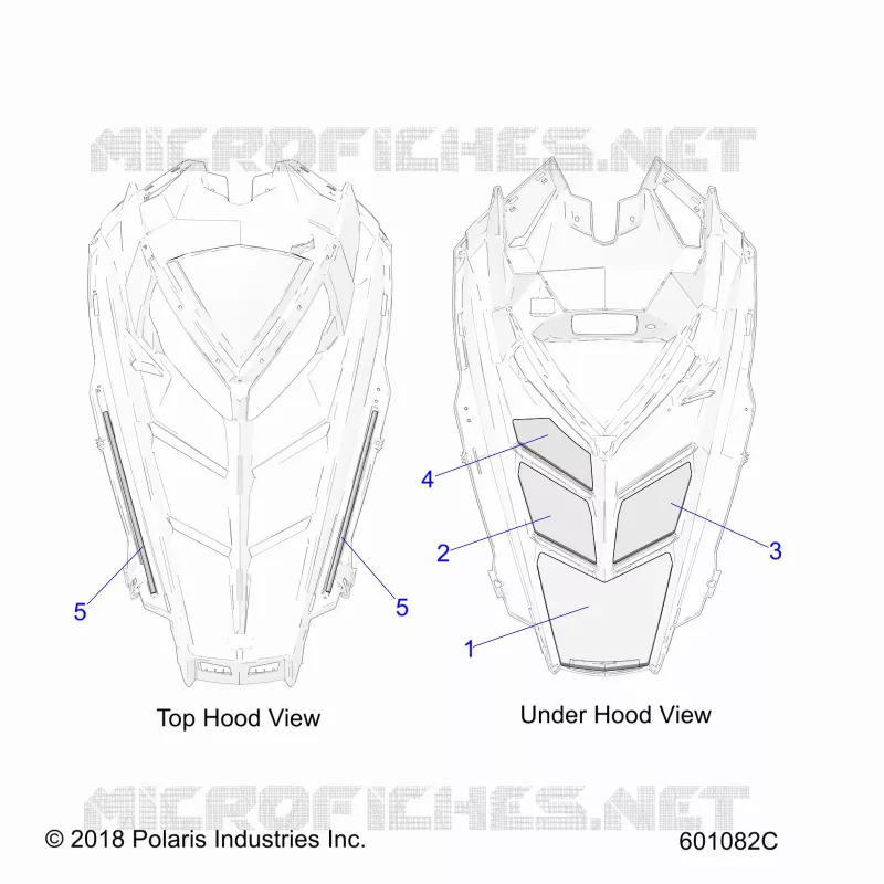 BODY, HOOD FOAM/SEAL