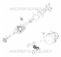 WATER PUMP / OIL PUMP