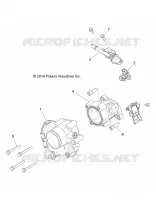 THROTTLE  BODY AND FUEL RAIL