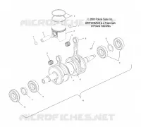 PISTON   CRANKSHAFT (700)