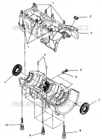 CRANKCASE ASSEMBLY 500 EFI 0942774 AND EFI SKS 0942574 (4924982498031A)