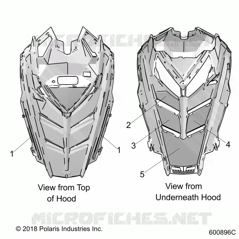 HOOD FOAM/SEAL