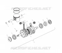PISTON   CRANKSHAFT (600)
