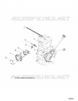 THROTTLE BODY AND FUEL RAIL
