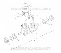 PISTON   CRANKSHAFT (800)